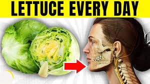 health benefits of lettuce you