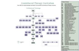 Exhaustive Organizational Chart Of Advanced Physical Therapy