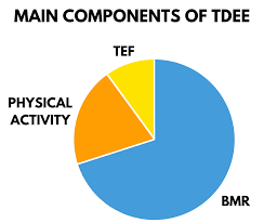 tdee calculator find your total daily