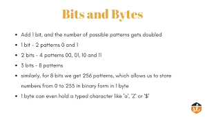 At the smallest scale in the computer, information is stored. Understanding What Are Bits And Bytes And The Difference Between Them Studytonight