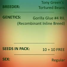 tony green s gorilla glue 4 ril 10