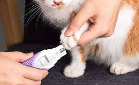 Furminator nail clipper for dogs and cats: The Best Cat Nail Clippers Review In 2021 My Pet Needs That