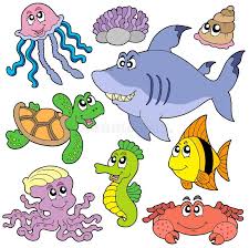 Muchas de sus especies son utilizadas para consumo humano, así como para la elaboración de aceite de pescado. Sea Fishes And Animals Collection Stock Vector Illustration Of Jellyfish Drawing 10702274