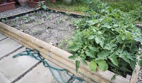 square foot gardening 101 complete