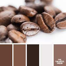 coffee inspired color palettes