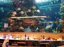 The Aquarium From The Bar View Picture Of Chart House Las