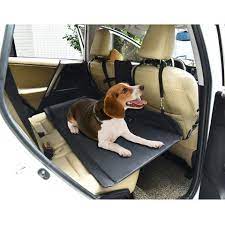 Pets And Car Safety And Regulations