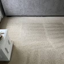 busy bee carpet cleaning 16 photos