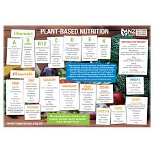 Plant Based Nutrition Chart
