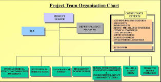 Organization Chart Of The Thoricos Bay Project Team