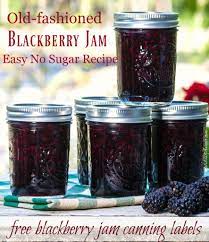 easy blackberry jam recipe low sugar