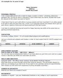 Skill For Resume Examples  Functional Skills Resume Examples    