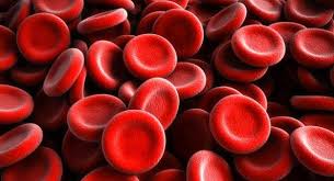 תאי דם אדומים גבוהים בדם או בשתן: הגורמים העיקריים