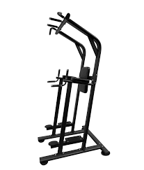 tag fitness vertical knee raise pro gym