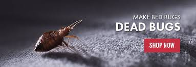 It may even be more, depending on the situation you face, and they may need to make several visits. Diy Pest Control Solutions Pest Lawn