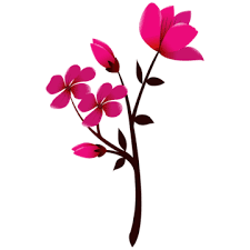 pink colour flower png vector psd