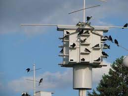 Purple Martin Houses And Complete Kits