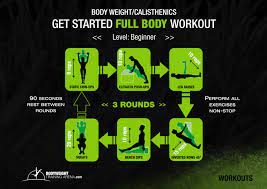 beginner calisthenics workout