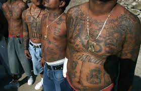 And boasts more than 6,000. What Is Ms 13 The Transnational Street Gang On The Fbi S Radar Cnn