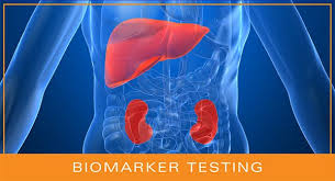 liver and kidney toxicity stus