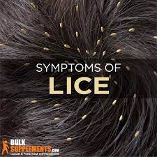 don t let lice ruin your day effective