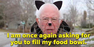 I am once again asking for your financial support is a quote said by bernie sanders during a december 2019 fundraising video. The Bernie Sanders I Am Once Again Asking Meme Everything You Need To Know