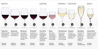 10 Types Of Wine Glass Explained