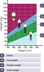 Bmi Body Mass Index Chart For Men And Women 18 Years And