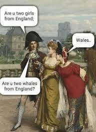 England vs wales meme wales rugby memes painted wales flag for ya boss notmyjob 30 Hilarious Memes And Tweets That Will Speak To You Funny Art Memes History Jokes Historical Memes