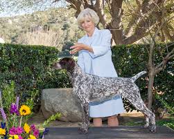 Chelsea german shorthaired pointers is a small family show kennel owned by the tzartzanis family, located in. South Coast Vizsla Club Southern California