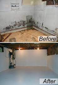 how to get mold out of a basement