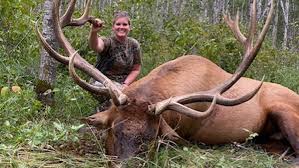 The north american elk is sometimes considered to constitute a separate species (c. Giant Bull Elk Harvested In Northern Minnesota Wcco Cbs Minnesota