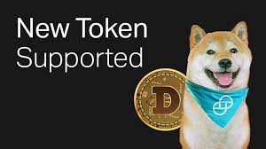 Recently added bitrefill's airbnb payment option is a good example. Gemini Now Supports Dogecoin Much Wow Gemini
