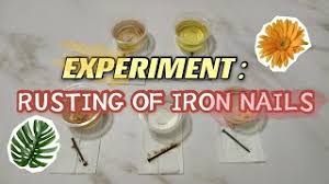 experiment rusting of iron nails