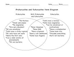 Comparing Prokaryotic And Eukaryotic Cells Venn Diagram