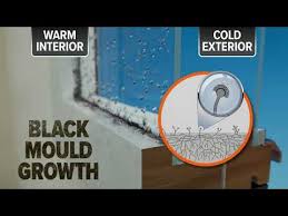 black mould on walls causes symptoms