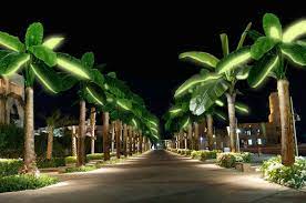 Solar Palms Bring Exotic Solar Lighting