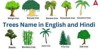 trees name in hindi 50 trees name in