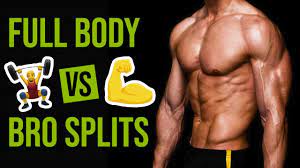full body workouts vs split routines