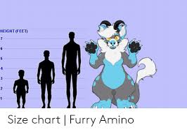 Height Feet 7 4 3 1 Size Chart Furry Amino Feet Meme On