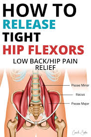You can protect the back muscles by bending from the hip and. Pin On Osteoarthritis Exercises And Diet