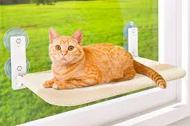 the 6 best cat window perches of 2024