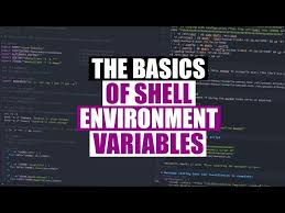 how to use s environment variables