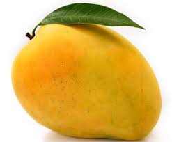 Image result for mango sri lanka