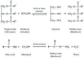 Chemical Equations Of Biodiesel