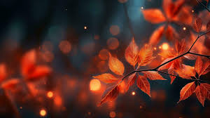 autumn leaves background 27684073 stock