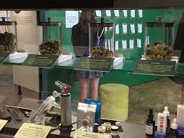 Be sure to review the laws specific to your local region before assuming protection. Cannabis Culture On Display In Museum Worlds Volume 8 Issue 1 2020