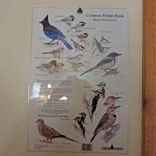 Quiet Creek Inn Common Room Bird Identification Chart