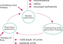 dysfunctional voiding ociated