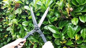 how to sharpen garden shears safely